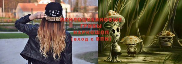 прущий лед Абаза