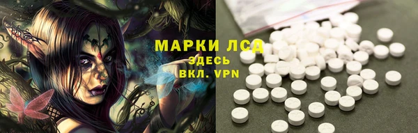 стафф Алзамай
