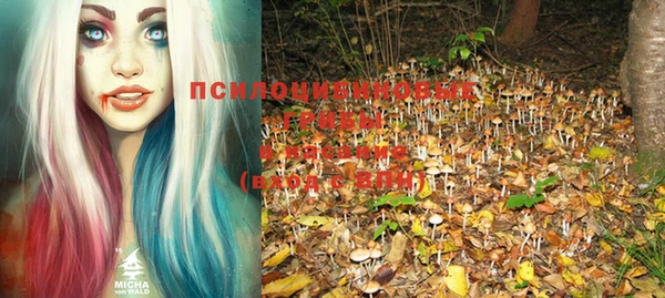 ПСИЛОЦИБИНОВЫЕ ГРИБЫ Абинск